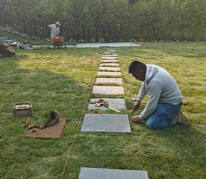 Installation of stone stepping path across freshly laid sod lawn in Mississauga backyard landscape