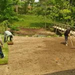 Tree, shrub, and sod installation by experienced landscaping contractors in a residential backyard
