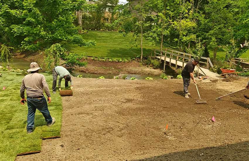 Tree, shrub, and sod installation by experienced landscaping contractors in a residential backyard